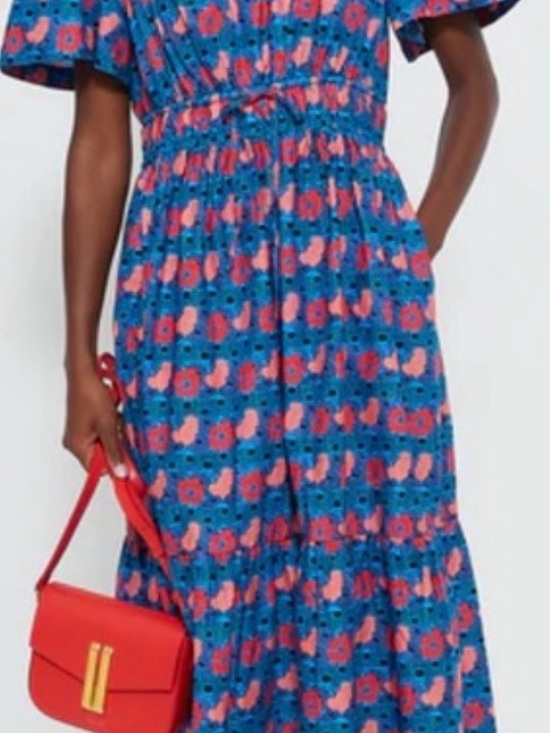 Tuckernuck Dresses & Skirts - Tuckernuck Blue and Pink Floral Maxi Dress